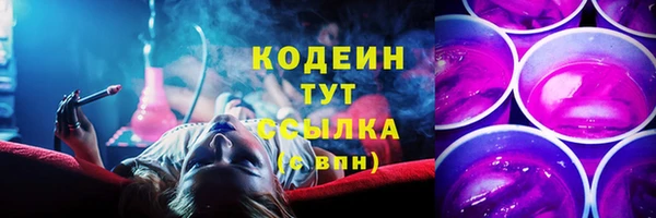 дживик Арсеньев