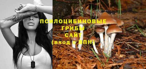 альфа пвп Пестово
