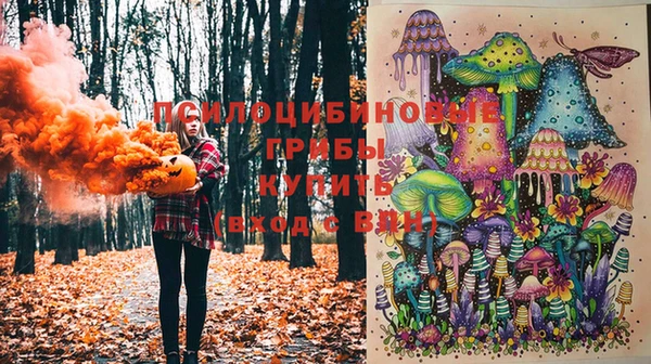 дживик Арсеньев